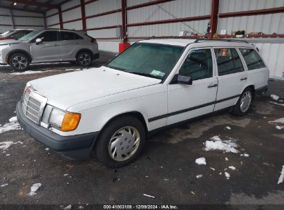 Lot #3035707971 1987 MERCEDES-BENZ 300 TDT