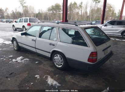 Lot #3035707971 1987 MERCEDES-BENZ 300 TDT