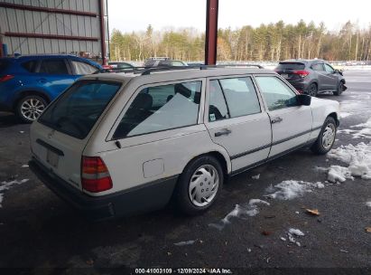 Lot #3035707971 1987 MERCEDES-BENZ 300 TDT