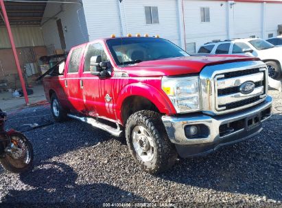 Lot #3051076194 2015 FORD F-250 XLT