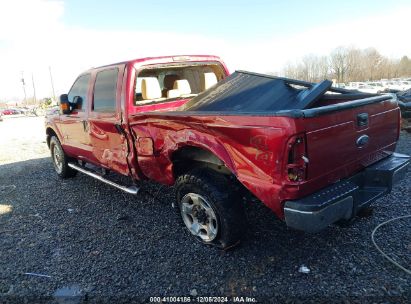 Lot #3051076194 2015 FORD F-250 XLT