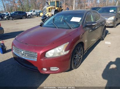 Lot #3034051465 2010 NISSAN MAXIMA 3.5 SV