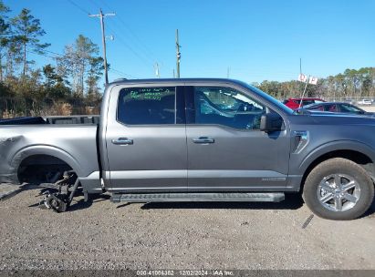 Lot #3052073444 2024 FORD F-150 XLT