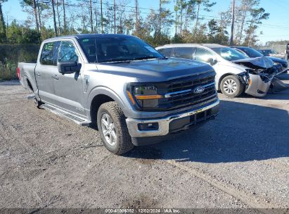 Lot #3052073444 2024 FORD F-150 XLT