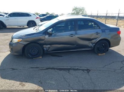 Lot #3035088911 2011 TOYOTA COROLLA LE