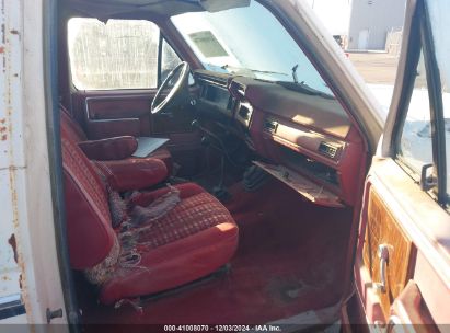 Lot #3035088907 1982 FORD BRONCO U100