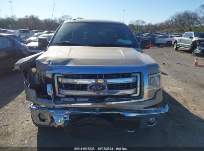 Lot #3035081007 2013 FORD F-150 XLT