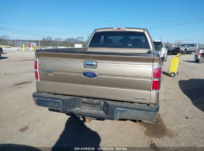 Lot #3035081007 2013 FORD F-150 XLT