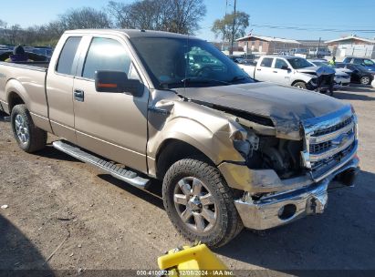 Lot #3035081007 2013 FORD F-150 XLT