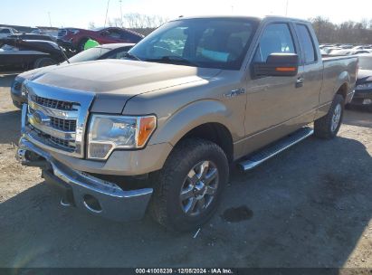 Lot #3035081007 2013 FORD F-150 XLT