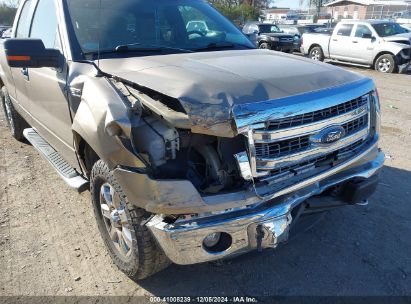 Lot #3035081007 2013 FORD F-150 XLT