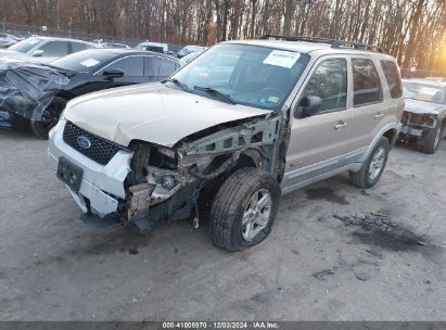 Lot #3037538284 2007 FORD ESCAPE HYBRID