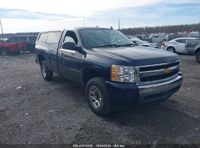 Lot #3037524171 2008 CHEVROLET SILVERADO 1500 WORK TRUCK