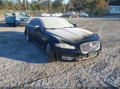 Lot #3037538121 2015 JAGUAR XJ