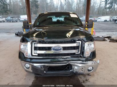 Lot #3035092794 2013 FORD F-150 XLT