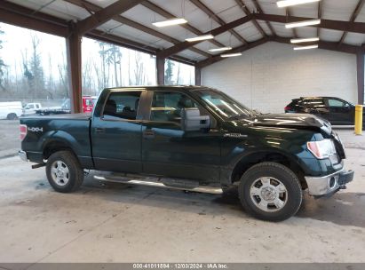 Lot #3035092794 2013 FORD F-150 XLT