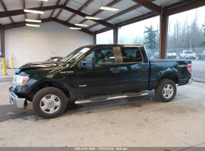 Lot #3035092794 2013 FORD F-150 XLT