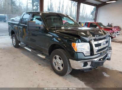 Lot #3035092794 2013 FORD F-150 XLT