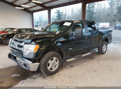 Lot #3035092794 2013 FORD F-150 XLT