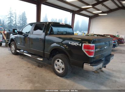 Lot #3035092794 2013 FORD F-150 XLT