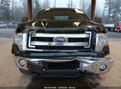 Lot #3035092794 2013 FORD F-150 XLT