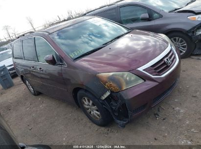 Lot #3034051057 2008 HONDA ODYSSEY EX-L