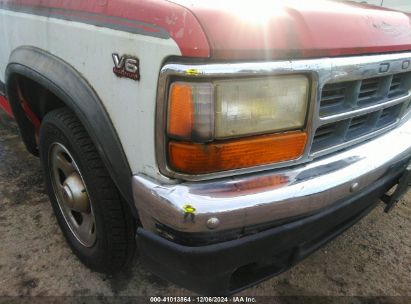 Lot #3035092615 1994 DODGE DAKOTA