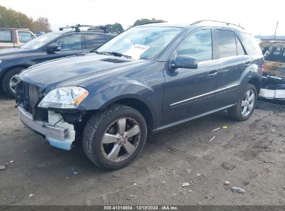 Lot #3053662109 2011 MERCEDES-BENZ ML 350 4MATIC