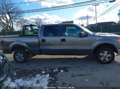 Lot #3025485025 2009 FORD F-150 FX4/KING RANCH/LARIAT/PLATINUM/XL/XLT