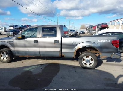 Lot #3025485025 2009 FORD F-150 FX4/KING RANCH/LARIAT/PLATINUM/XL/XLT