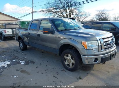 Lot #3025485025 2009 FORD F-150 FX4/KING RANCH/LARIAT/PLATINUM/XL/XLT