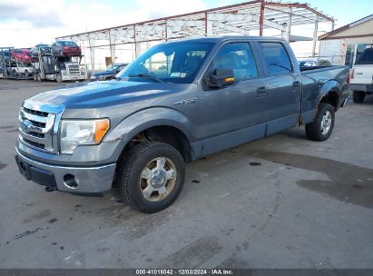 Lot #3025485025 2009 FORD F-150 FX4/KING RANCH/LARIAT/PLATINUM/XL/XLT