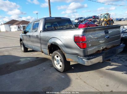 Lot #3025485025 2009 FORD F-150 FX4/KING RANCH/LARIAT/PLATINUM/XL/XLT