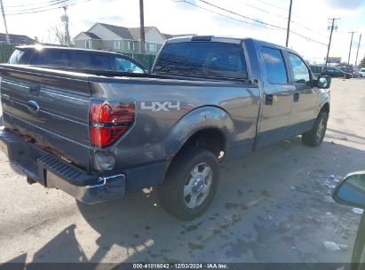 Lot #3025485025 2009 FORD F-150 FX4/KING RANCH/LARIAT/PLATINUM/XL/XLT