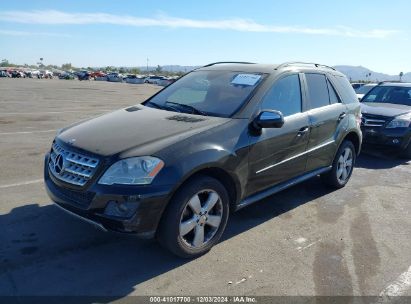 Lot #3046371340 2010 MERCEDES-BENZ ML 350 4MATIC