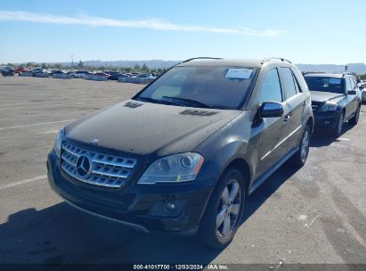 Lot #3046371340 2010 MERCEDES-BENZ ML 350 4MATIC