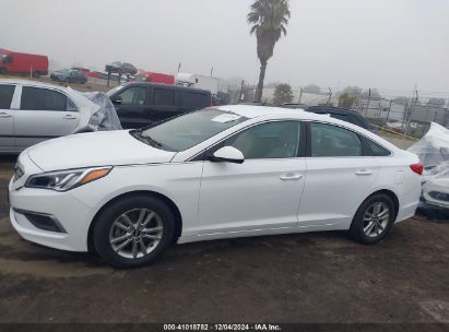 Lot #3035092504 2017 HYUNDAI SONATA