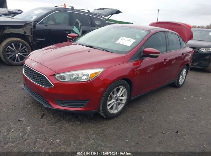 Lot #3046377092 2017 FORD FOCUS SE