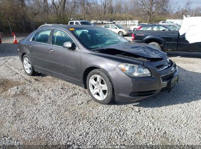 Lot #3052072784 2012 CHEVROLET MALIBU LS