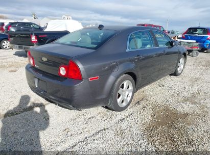 Lot #3052072784 2012 CHEVROLET MALIBU LS