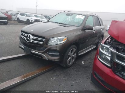 Lot #3035090520 2016 MERCEDES-BENZ GLE 350