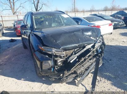 Lot #3056067830 2023 HYUNDAI TUCSON HYBRID LIMITED