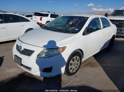 Lot #3035088815 2009 TOYOTA COROLLA