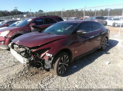 Lot #3034053711 2017 NISSAN MAXIMA 3.5 SR