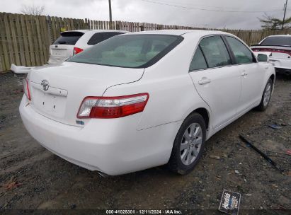 Lot #3037524424 2008 TOYOTA CAMRY HYBRID