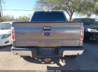 Lot #3035088787 2014 FORD F-150 XLT