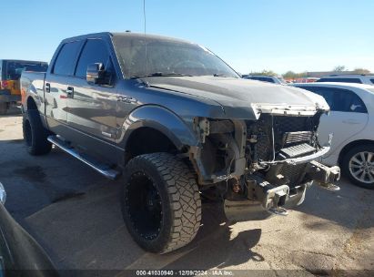 Lot #3035088787 2014 FORD F-150 XLT