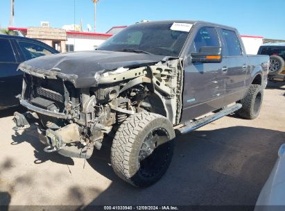 Lot #3035088787 2014 FORD F-150 XLT