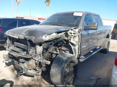 Lot #3035088787 2014 FORD F-150 XLT