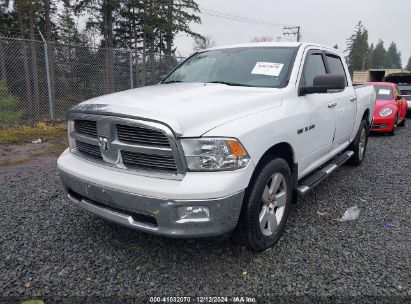 Lot #3035092510 2010 DODGE RAM 1500 SLT/SPORT/TRX